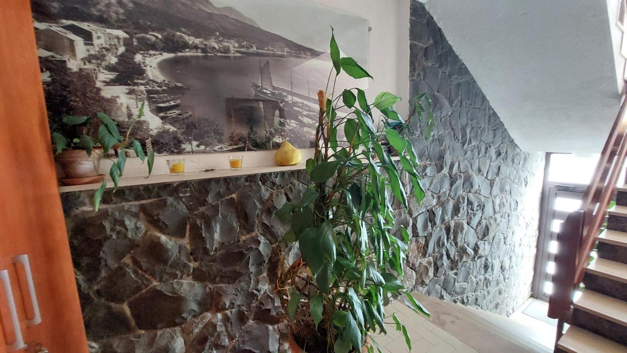 Haus Sonja Apartment Подгора Екстериор снимка
